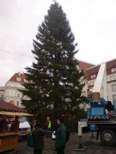 Главная эстонская рождественская ёлка дважды за уикэнд падала на Ратушной площади