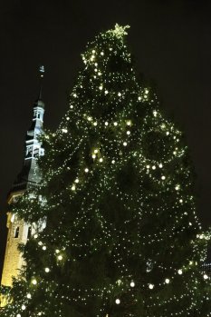 Главная эстонская рождественская ёлка дважды за уикэнд падала на Ратушной площади
